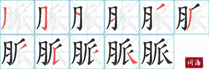 脈字怎么写图解