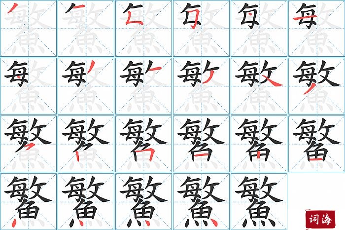 鰵字怎么写图解