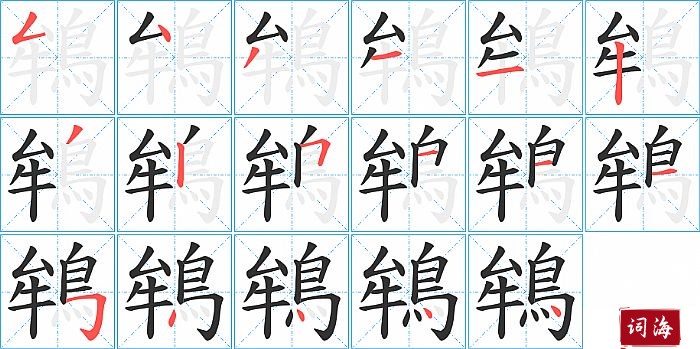 鴾字怎么写图解