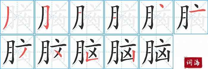 脑字怎么写图解