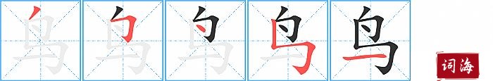 鸟字怎么写图解