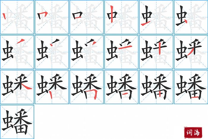 蟠字怎么写图解