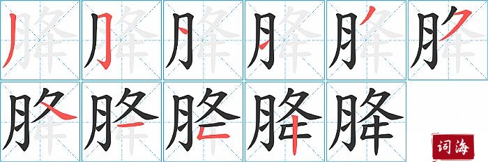 胮字怎么写图解