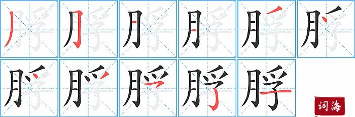 脬字怎么写图解