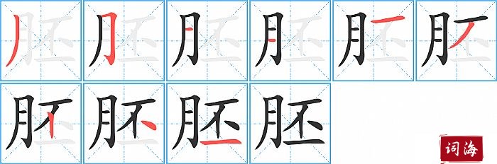 胚字怎么写图解