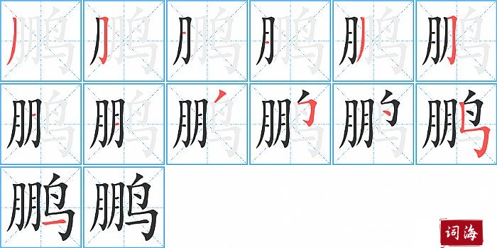 鹏字怎么写图解