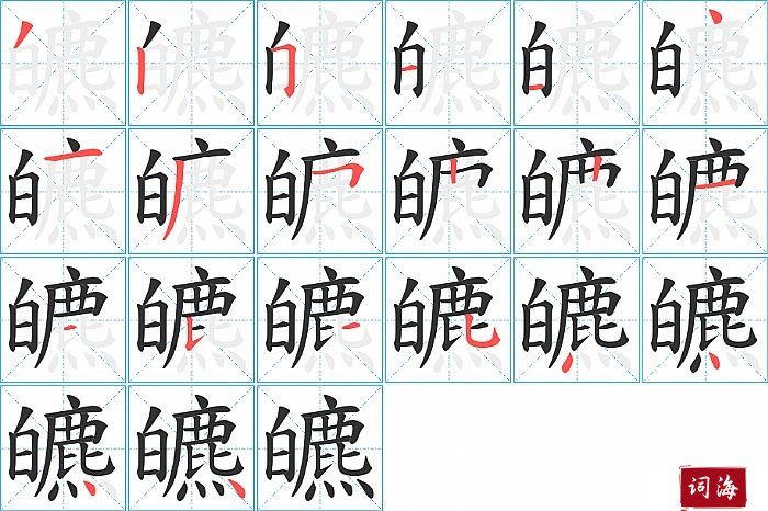 皫字怎么写图解