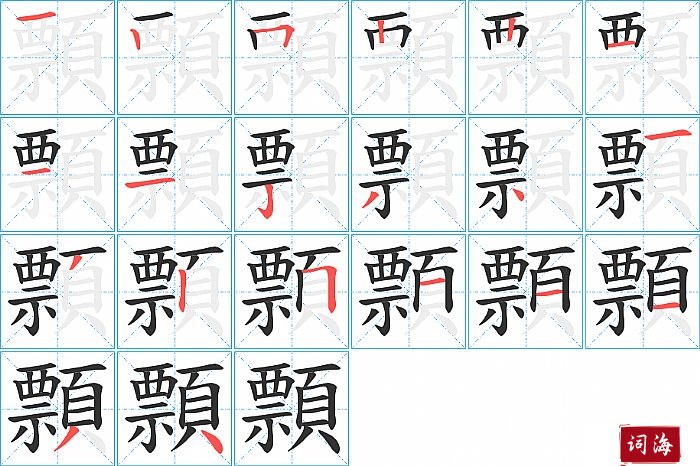 顠字怎么写图解