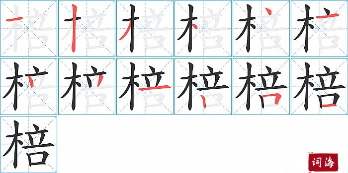 棓字怎么写图解