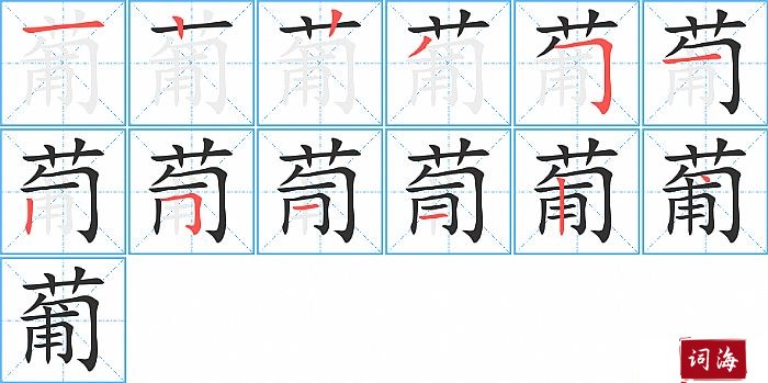 葡字怎么写图解