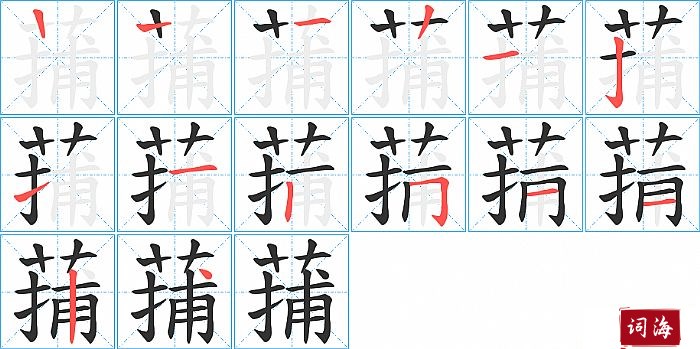 蒱字怎么写图解