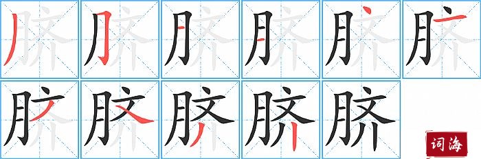 脐字怎么写图解