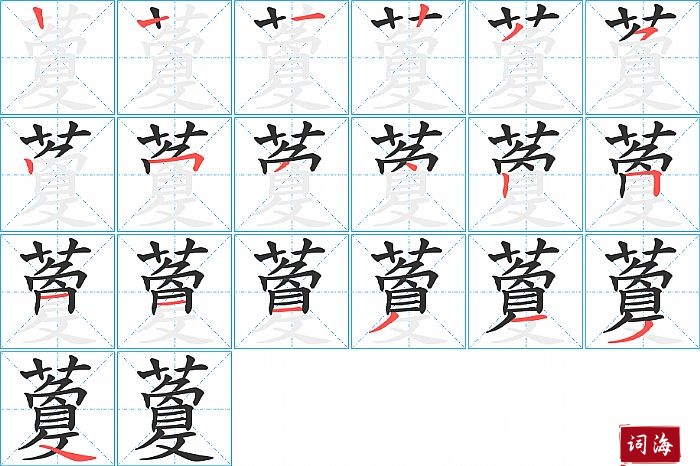 藑字怎么写图解