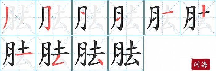 胠字怎么写图解