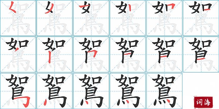 鴽字怎么写图解