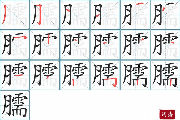 臑字怎么写图解