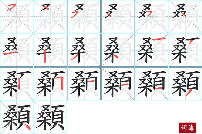 顙字怎么写图解