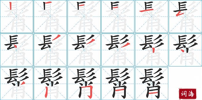 髾字怎么写图解