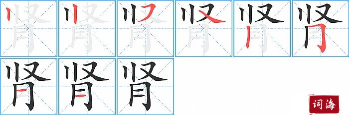 肾字怎么写图解