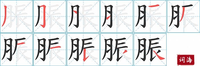 脤字怎么写图解