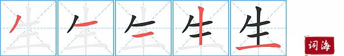 生字怎么写图解