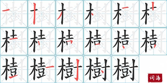 樹字怎么写图解