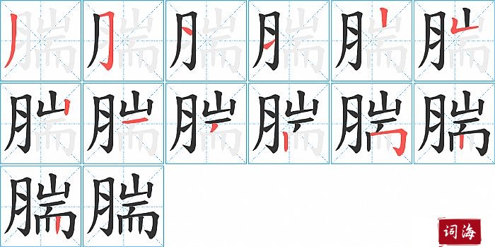 腨字怎么写图解