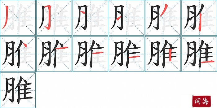 脽字怎么写图解