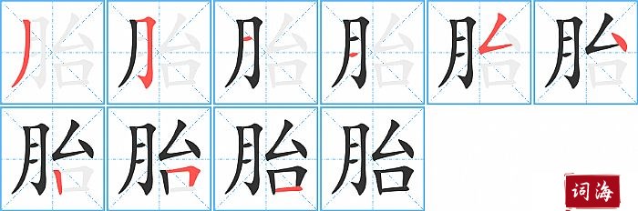 胎字怎么写图解