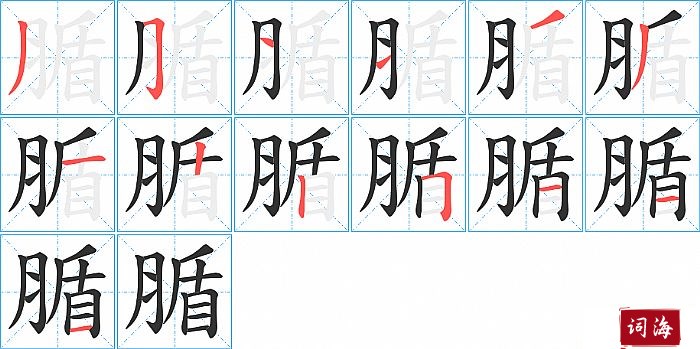 腯字怎么写图解