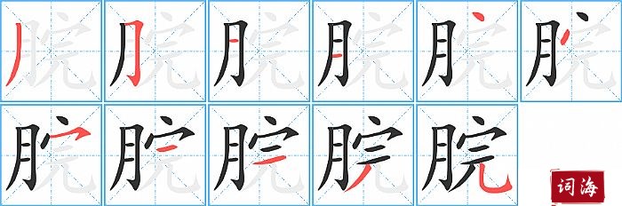 脘字怎么写图解