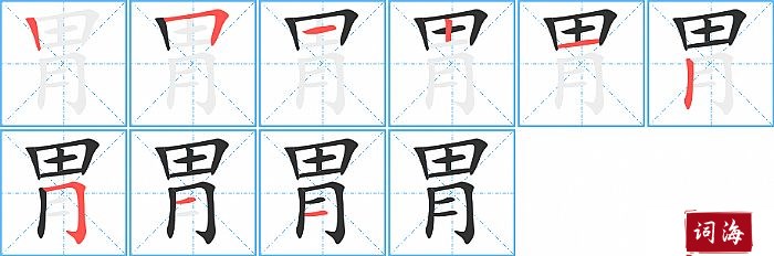 胃字怎么写图解