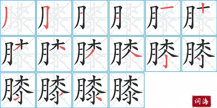 膝字怎么写图解