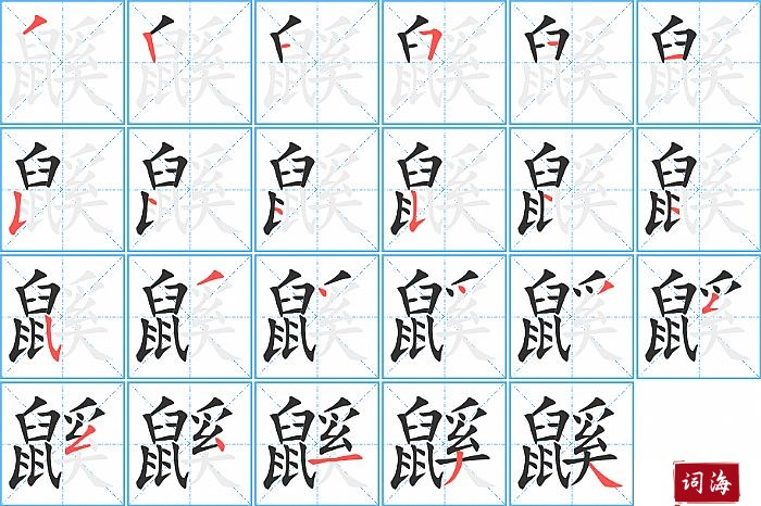 鼷字怎么写图解