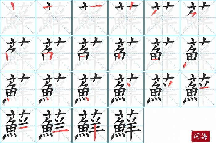 蘚字怎么写图解