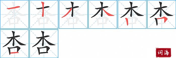 杏字怎么写图解