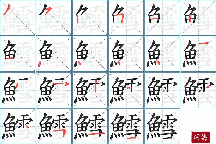 鱈字怎么写图解