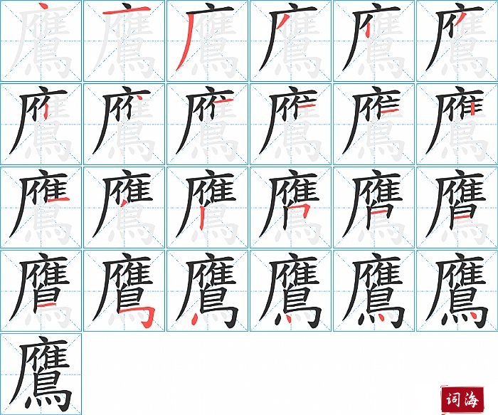 鷹字怎么写图解