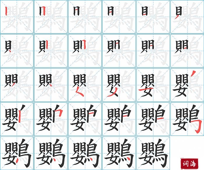 鸚字怎么写图解