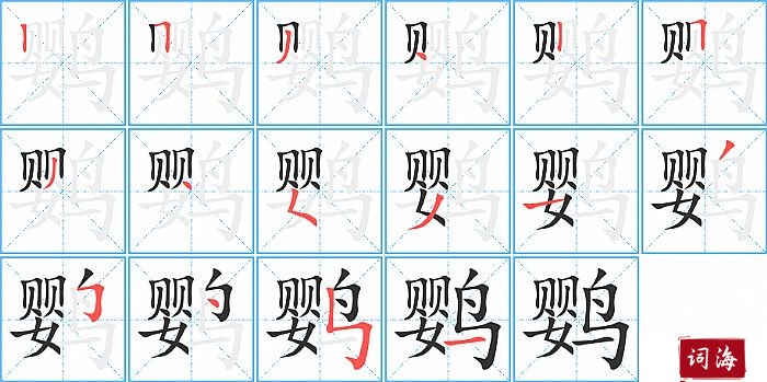 鹦字怎么写图解