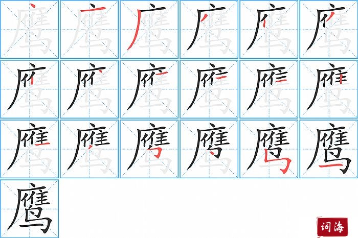 鹰字怎么写图解