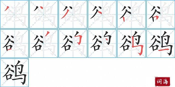 鹆字怎么写图解