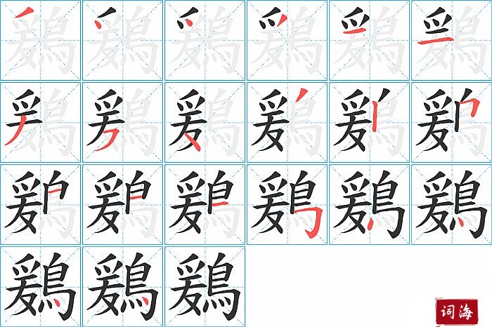 鶢字怎么写图解