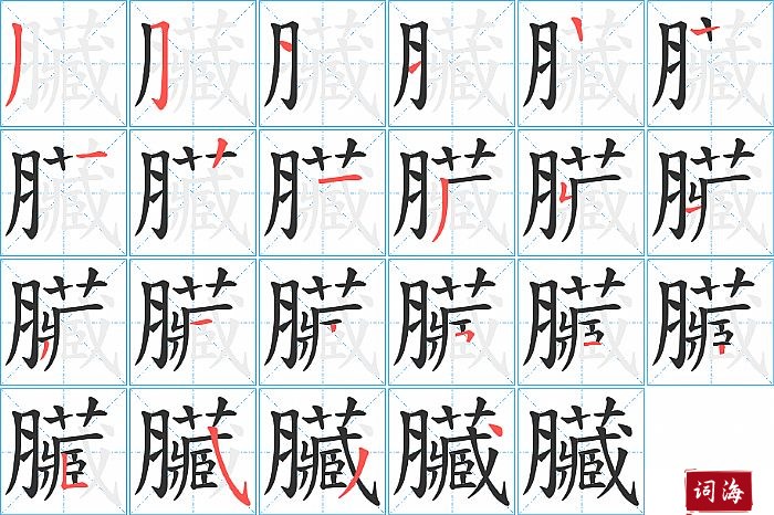 臟字怎么写图解