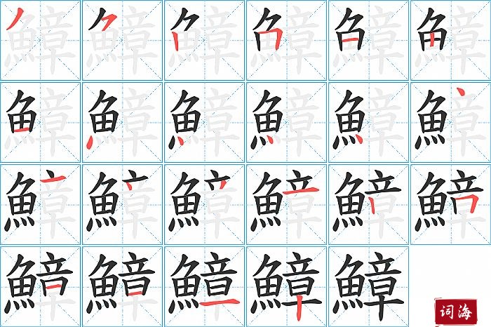 鱆字怎么写图解