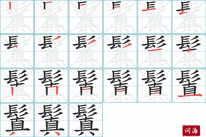 鬒字怎么写图解