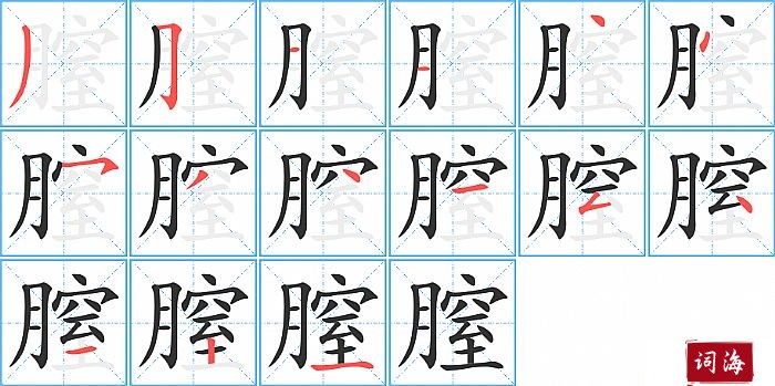 膣字怎么写图解