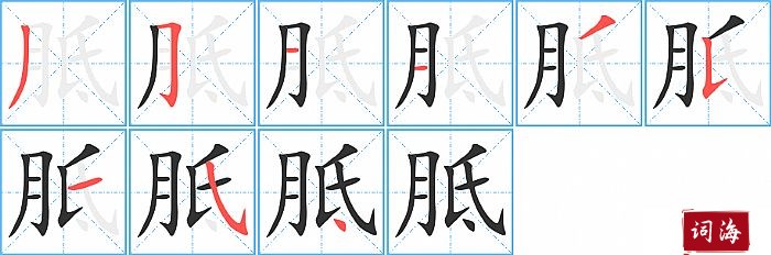 胝字怎么写图解