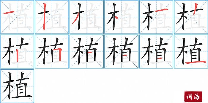 植字怎么写图解