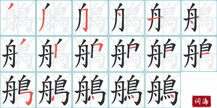 鵃字怎么写图解